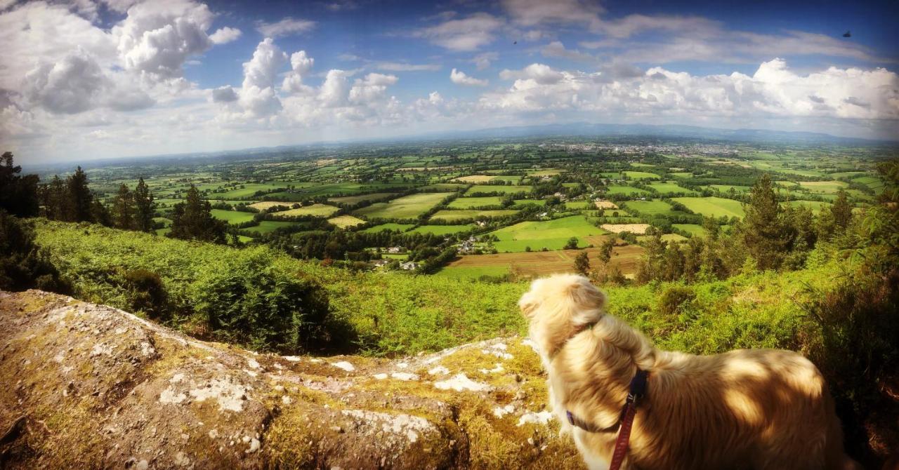 Ballyglass Country House Tipperary Extérieur photo